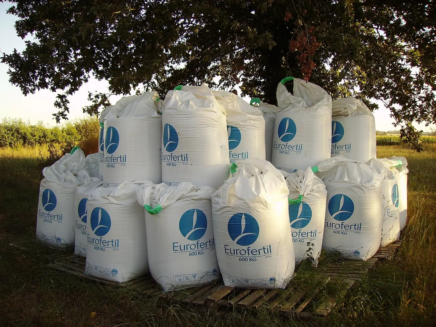 U-panel FIBC bulk bags