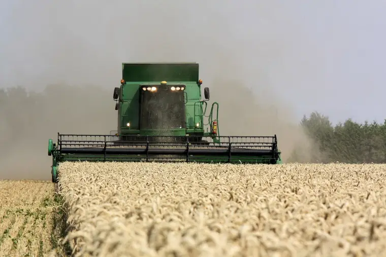 Wheat harvest